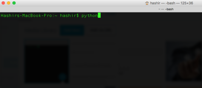 python_terminal